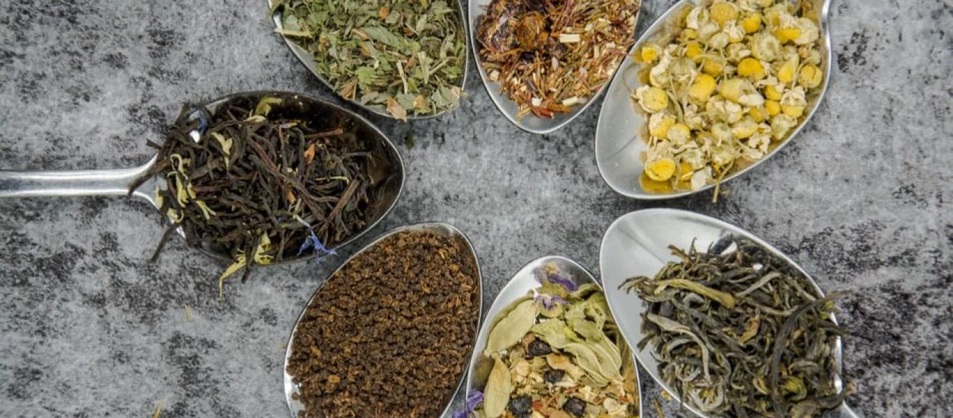 20+2 θαυματουργά ελληνικά βότανα και οι ιδιότητές τους